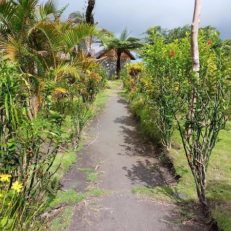 Yasur View Bungalows Loanengo Ngoại thất bức ảnh
